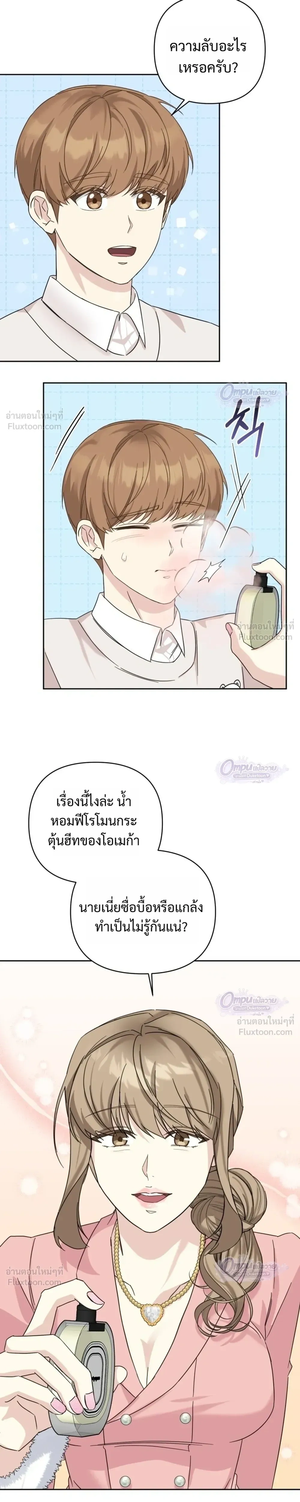 หน้าที่ 17