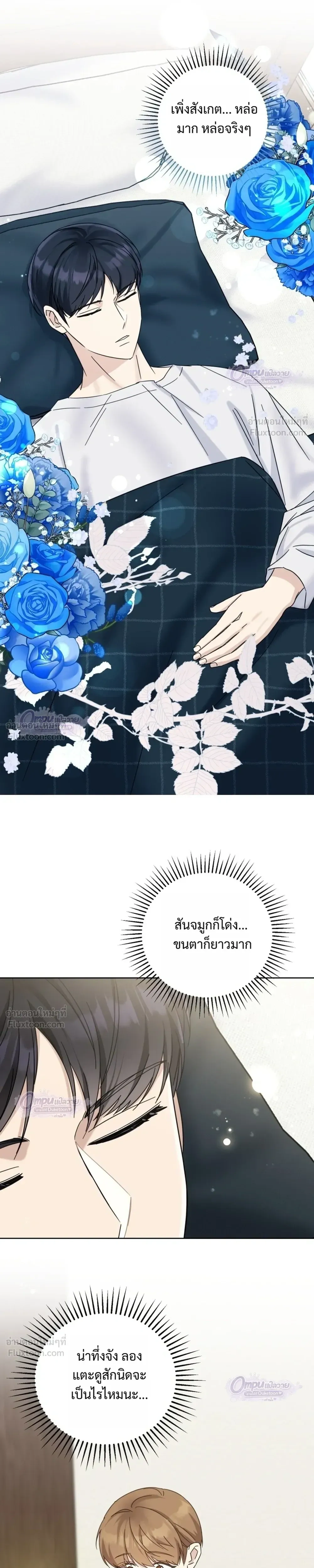หน้าที่ 17