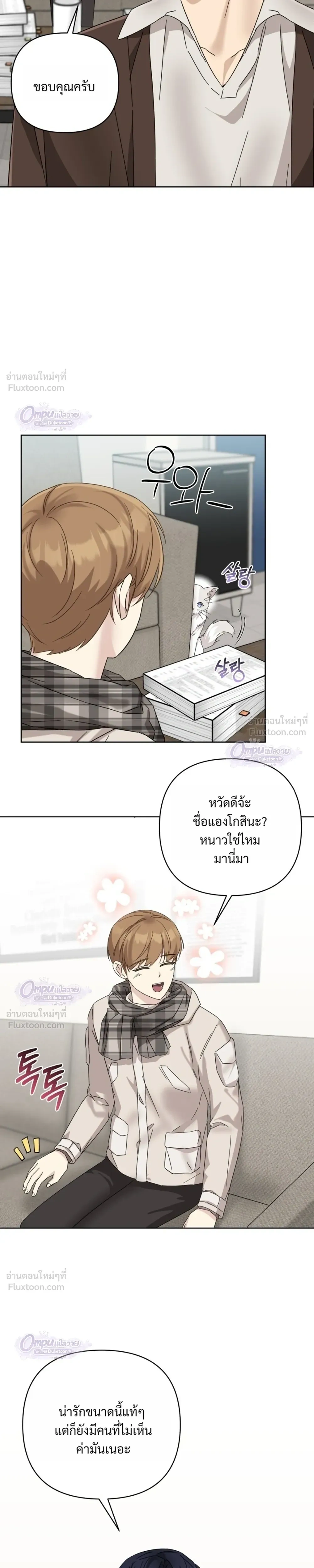 หน้าที่ 13