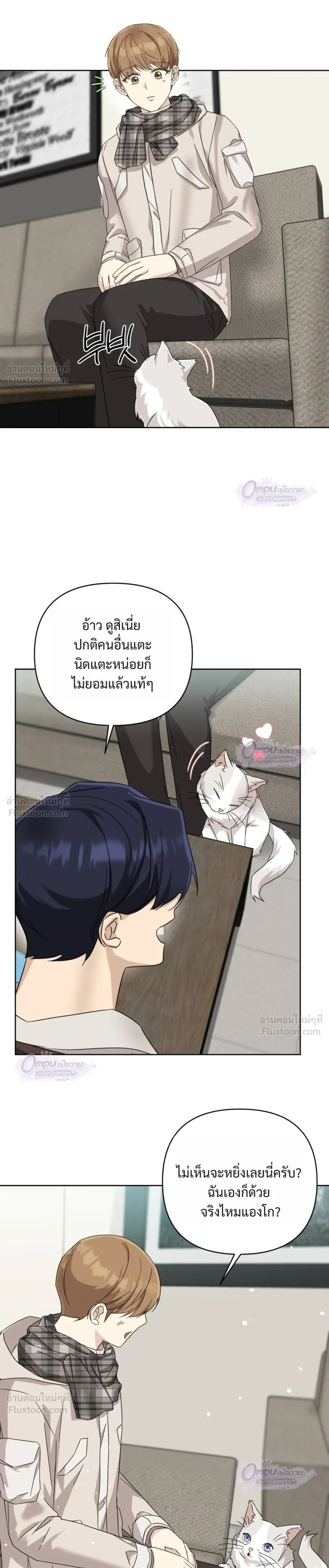 หน้าที่ 17