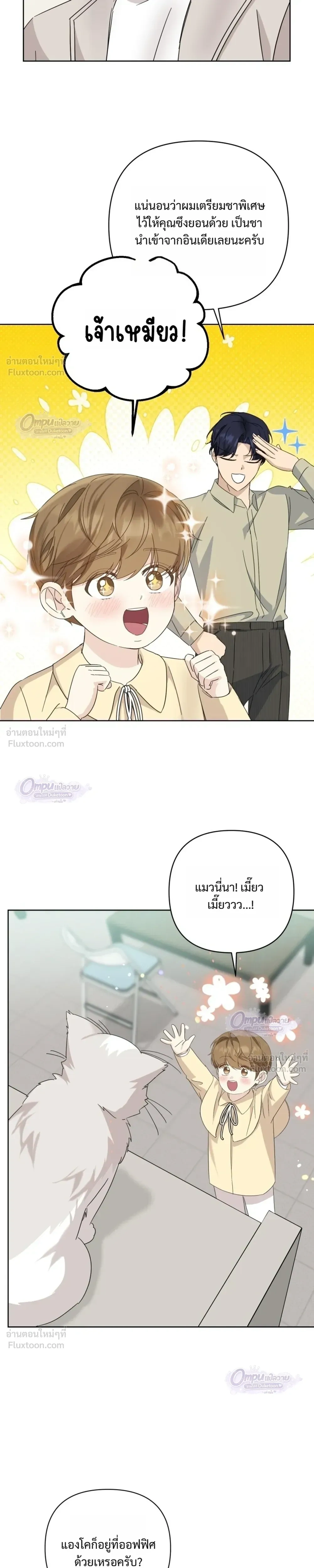 หน้าที่ 17