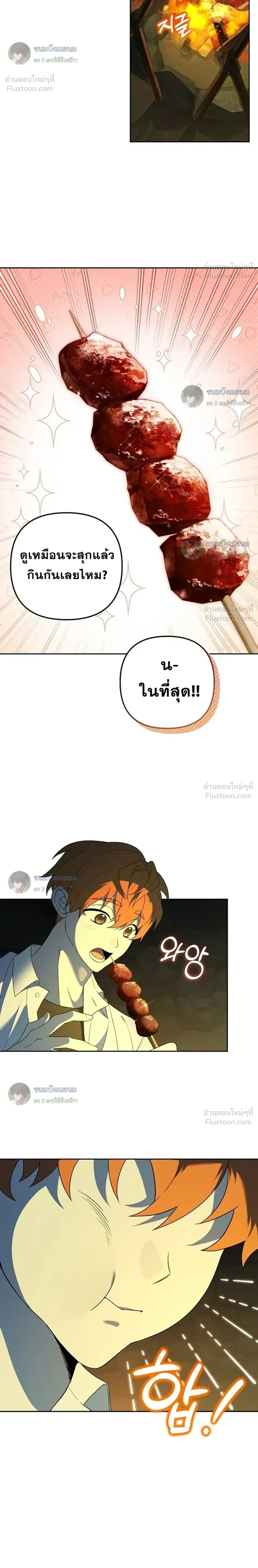 หน้าที่ 17