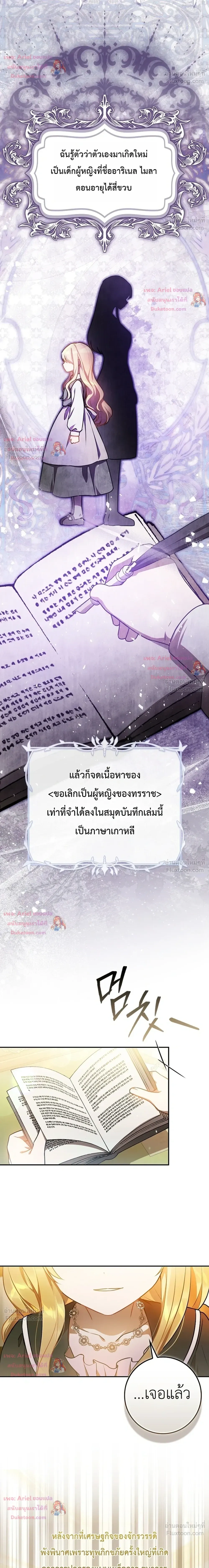หน้าที่ 17