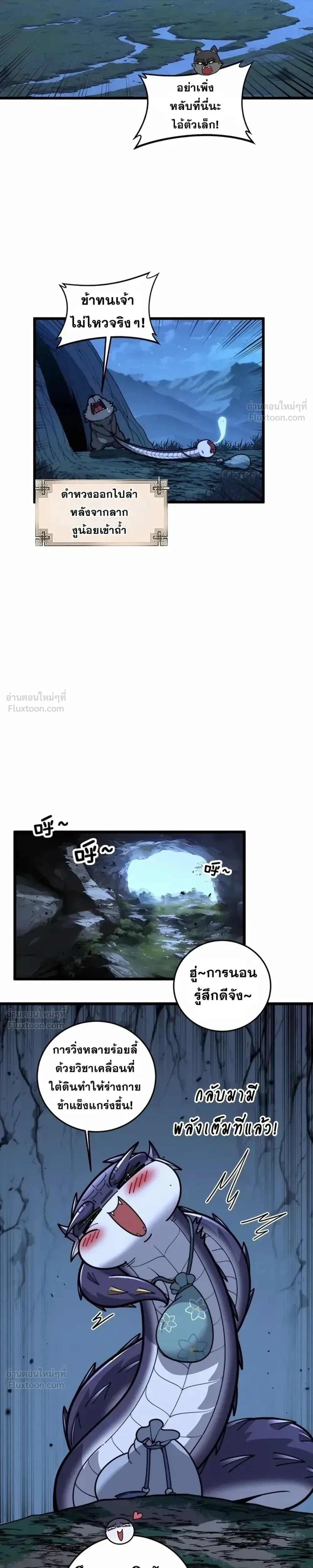 หน้าที่ 13