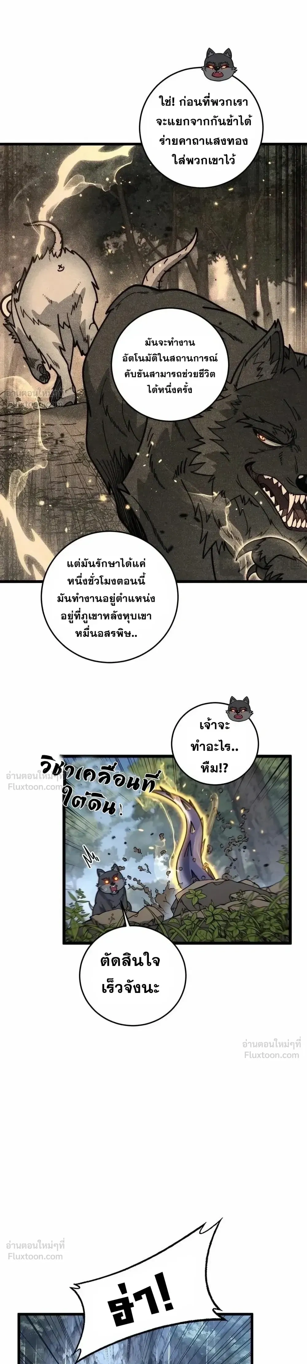 หน้าที่ 14