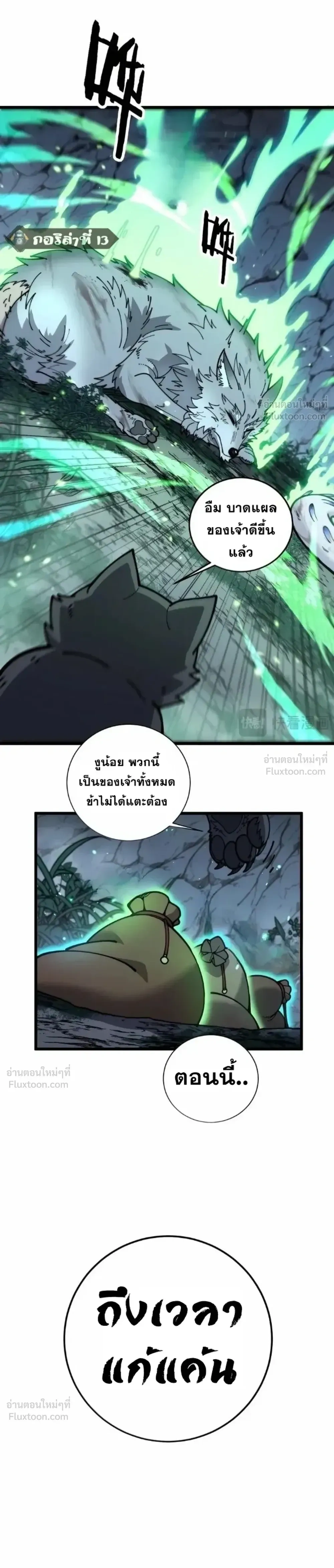 หน้าที่ 13
