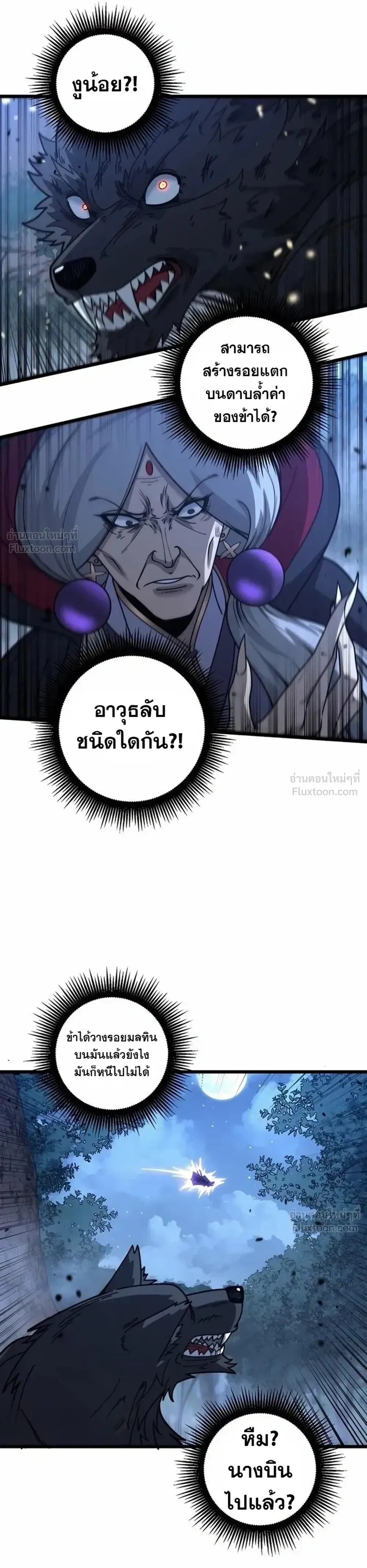 หน้าที่ 13