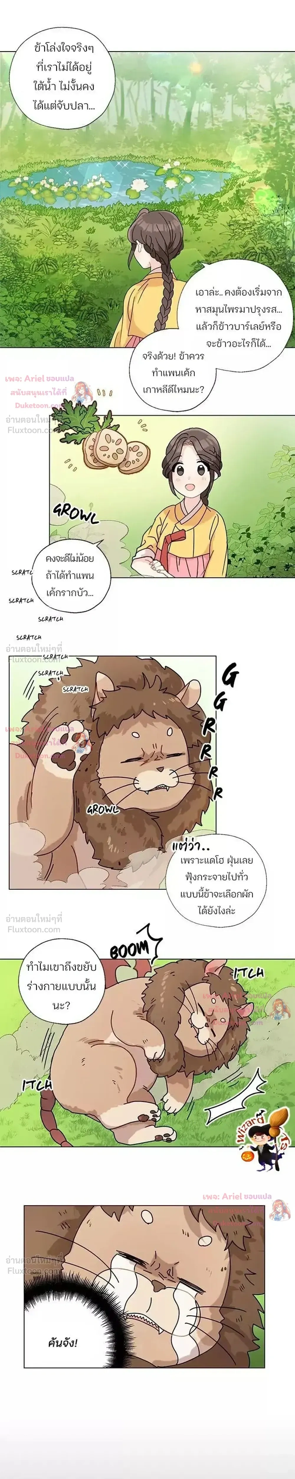 หน้าที่ 13
