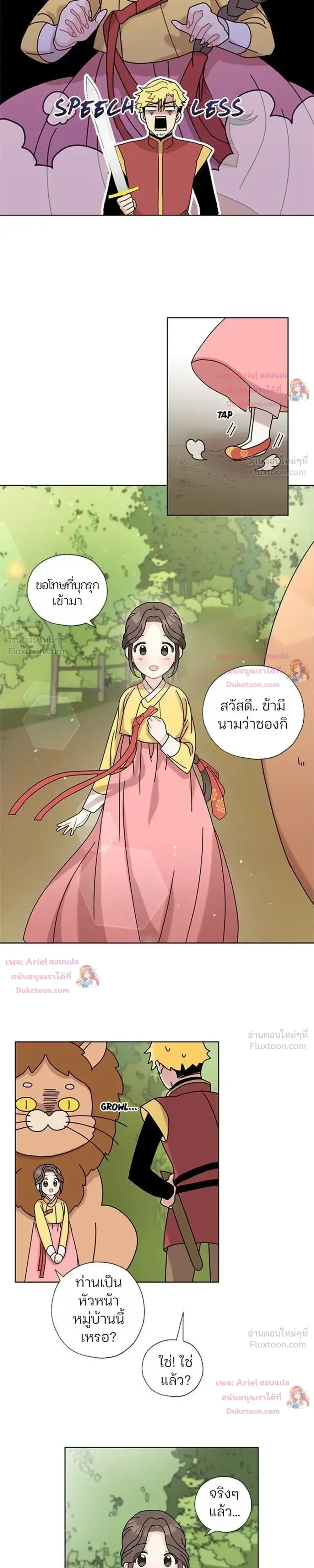 หน้าที่ 17