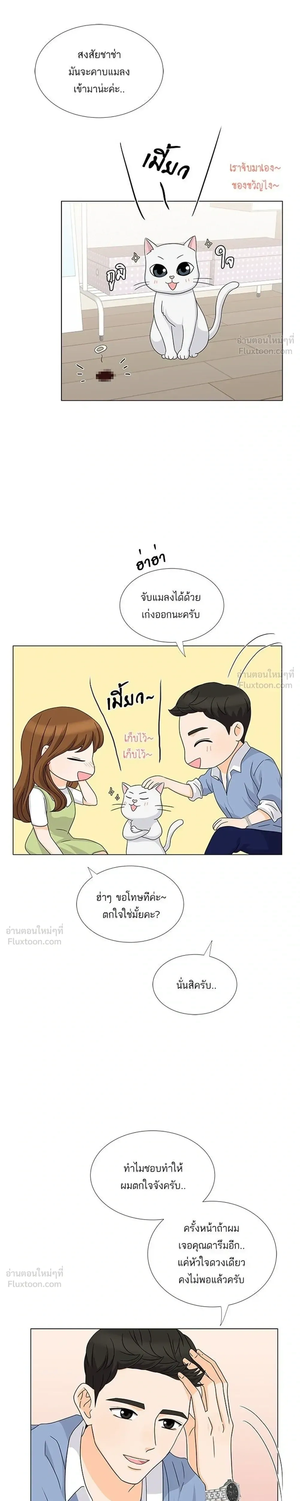 หน้าที่ 17