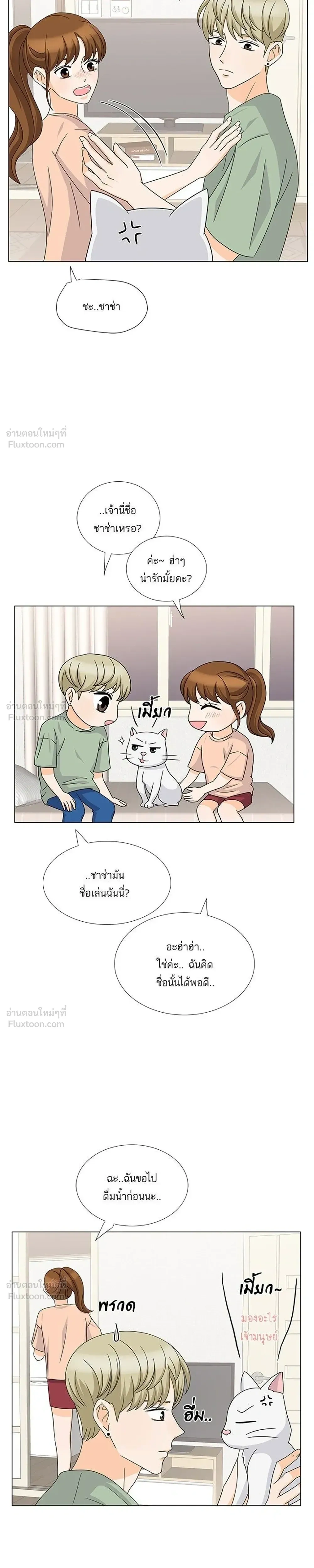หน้าที่ 17