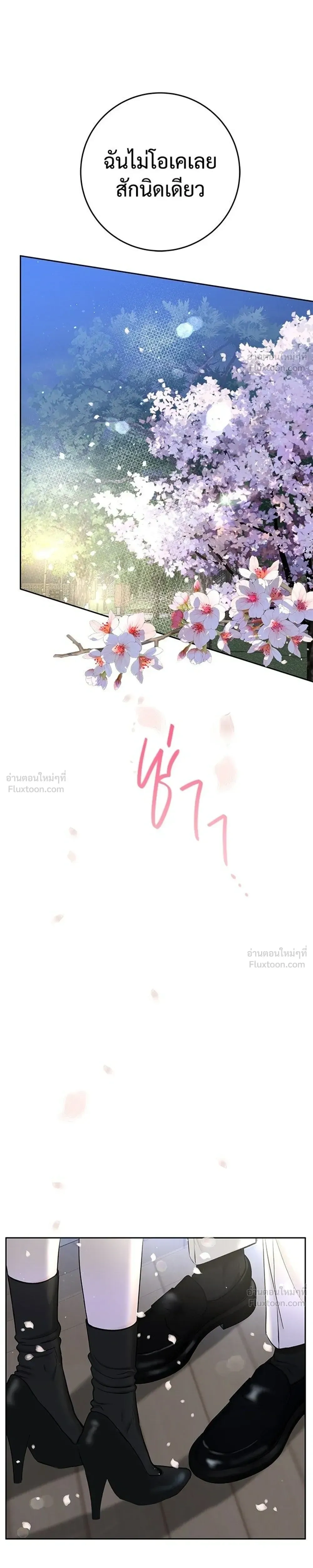 หน้าที่ 29