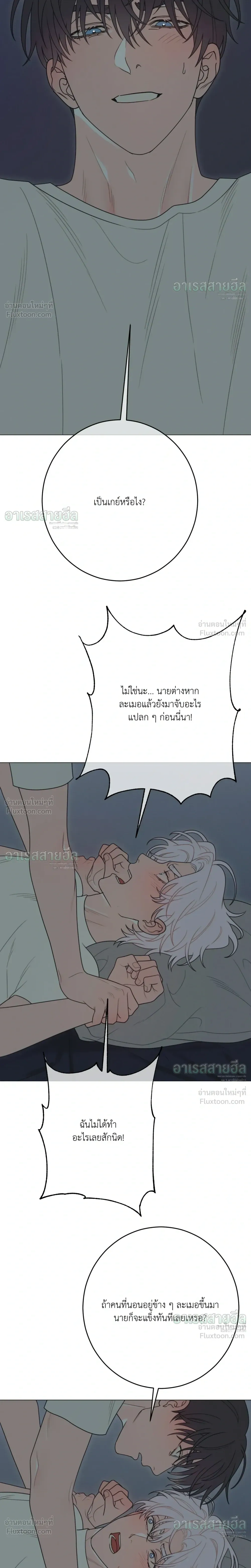 หน้าที่ 21